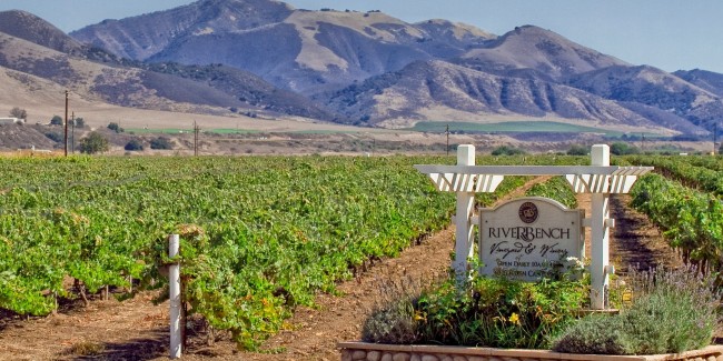 Riverbench Winery